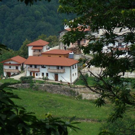Apartmaji Nena Rocinj エクステリア 写真