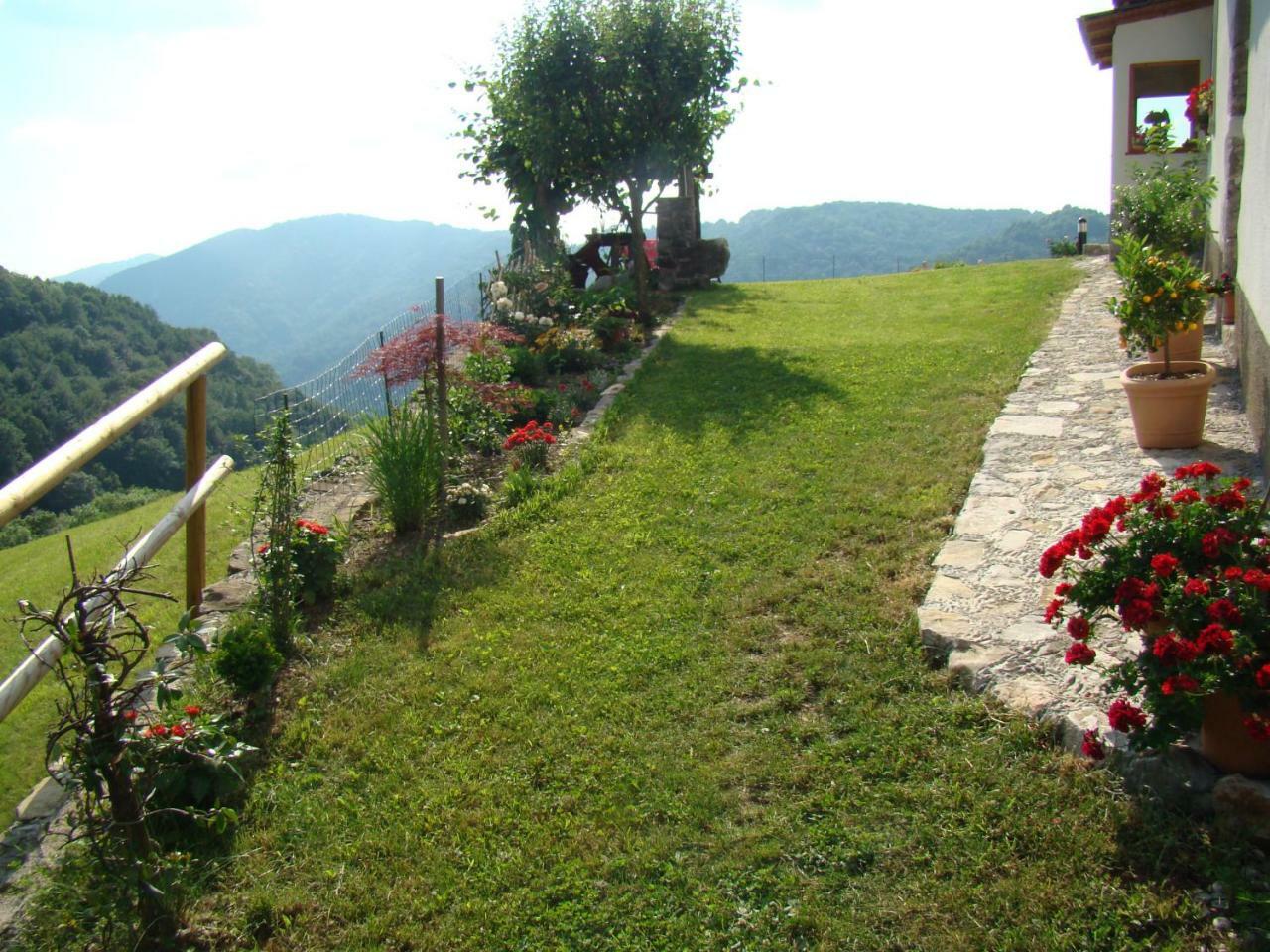 Apartmaji Nena Rocinj エクステリア 写真